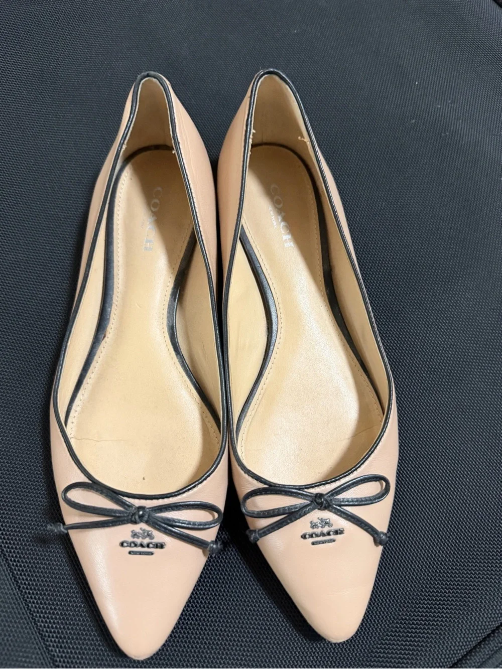 Coach women pointed